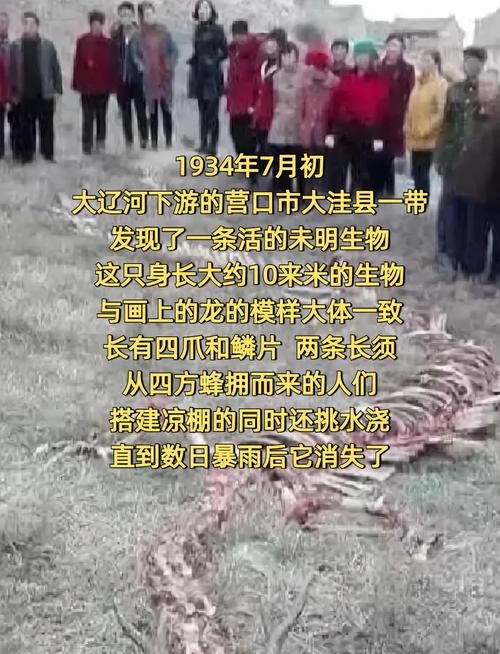野猫口神龙事件图片，野猫口神龙真的假的？  第3张