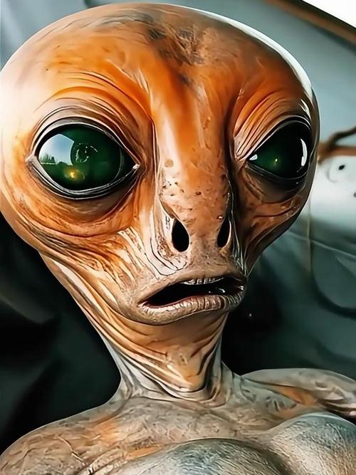 黄延秋事件终于真相大白？黄延秋飞行真实原因？  第1张