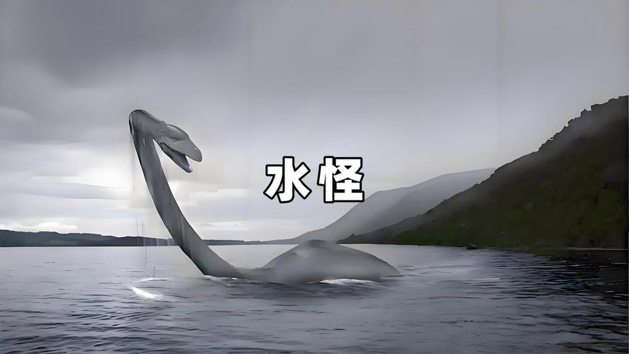 世界最新奇闻异事，世界奇异事件？  第3张
