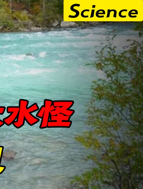 湖光岩水怪之谜真相视频，广东湖光岩水怪真相视频  第2张
