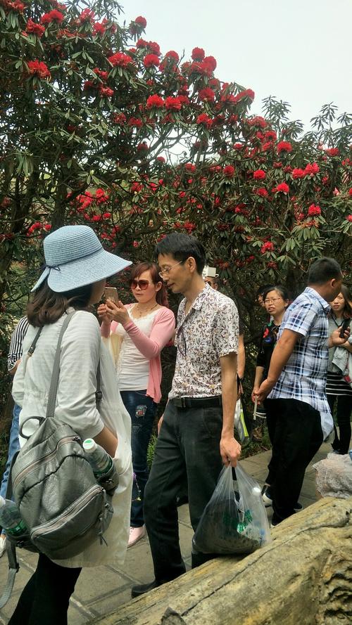 西安渭南市天气预报，渭南市天气预报一周7天  第2张