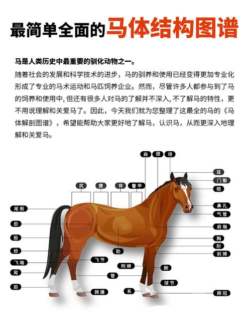 世界奇闻怪事1000例图片？世界的奇事怪闻？  第4张