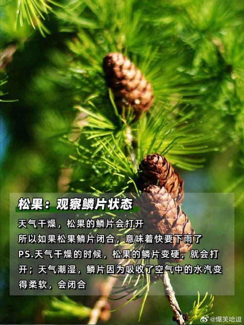 和县1个月天气预报？和县地区天气预报？  第3张
