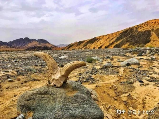 彭加木被队友杀了拖着？彭加木的队友？  第4张