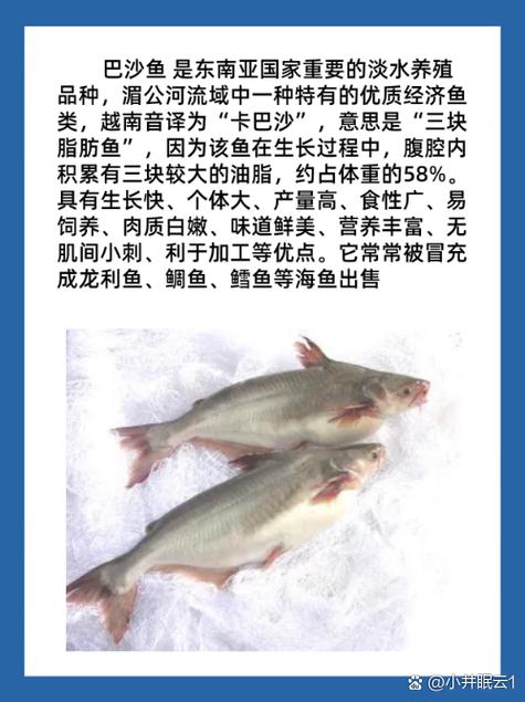 世界上最诡异的鱼，世界上最诡异的鱼的图片  第3张