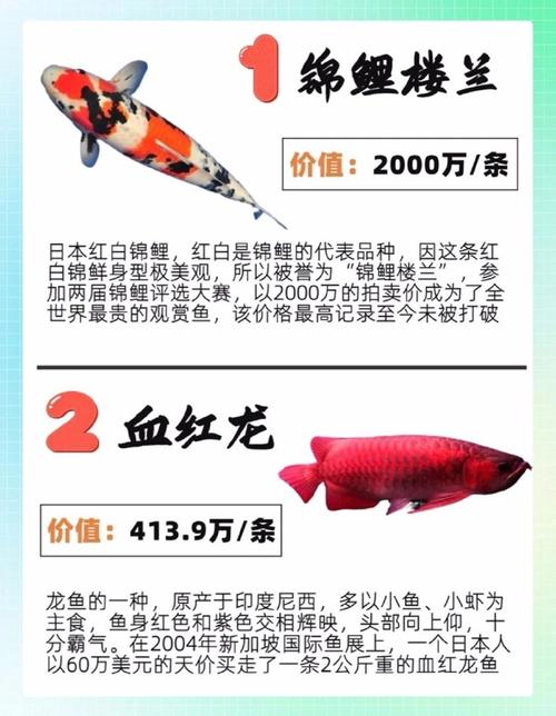 世界上最诡异的鱼，世界上最诡异的鱼的图片  第4张