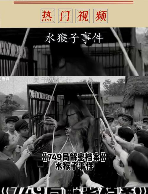 民间鬼故事网站，民间鬼故事网站下载  第5张