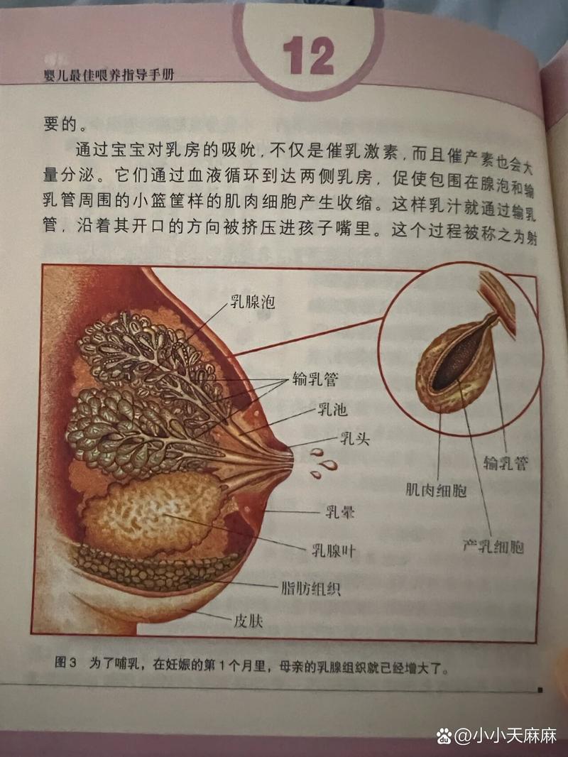 女性乳房挤出透明液体是什么问题，乳房挤出来透明水是什么原因？  第5张