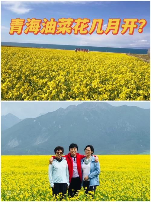 印江木黄镇天气预报，印江木黄镇天气预报7天  第6张