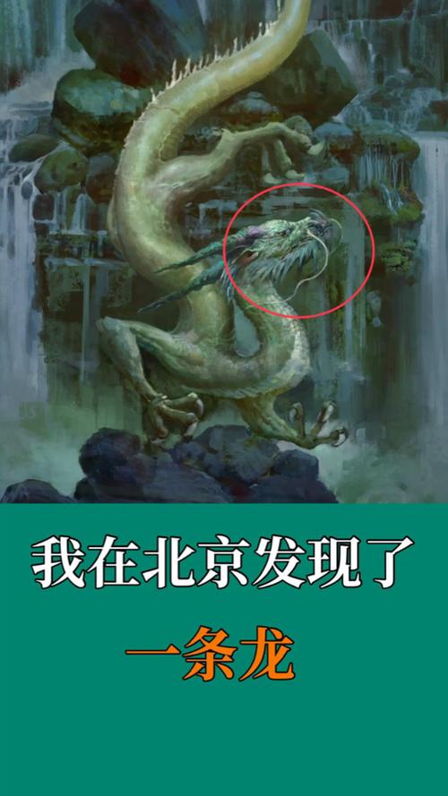 北新桥海眼和锁龙井真实事件，北新桥海眼和锁龙井的故事  第5张
