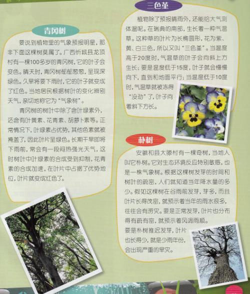 哪些植物能预报天气，哪些植物能预报天气情况  第6张