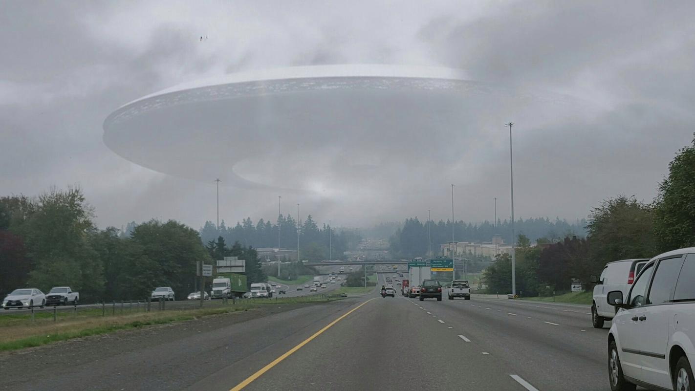 美国证实ufo，美国证实巴基斯坦击落印度飞机？  第3张