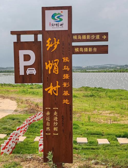 泊头市今天天气预报，泊头市今天天气预报查询  第3张