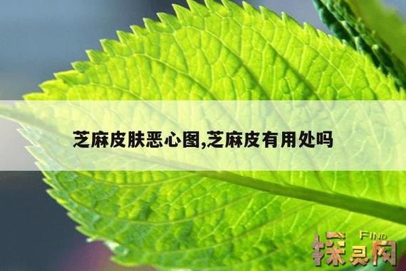 用牙签挑毛孔里的芝麻，毛孔里挑芝麻的视频  第2张