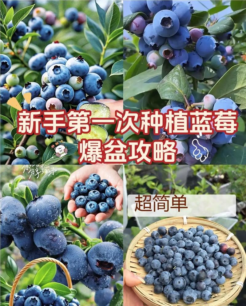 湖北黄石九月份天气？2021年9月黄石天气？  第2张