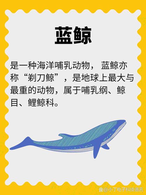 世界上最大的睾丸有多重，世界上最大睾丸得男人的名字？  第1张