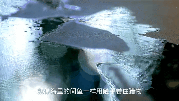 世界前十诡异未解之谜，世界前十诡异未解之谜是什么  第4张