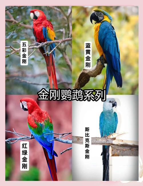 黄金箭毒蛙和海蛇谁厉害？黄金箭毒蛙大战蜈蚣？  第5张