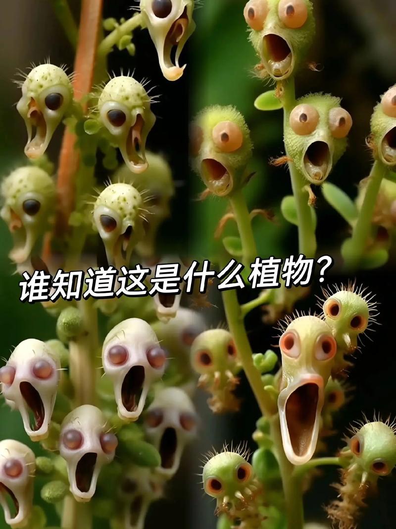 烟台栖霞地区的天气？烟台栖霞地区的天气怎么样？  第4张