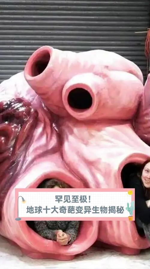 最诡异的10张图，最诡异的10张图片高清？  第1张