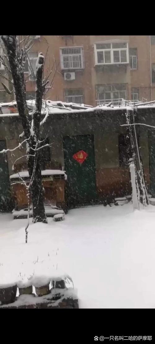 绥中县今晚天气预报，绥中今天天气怎么样  第2张