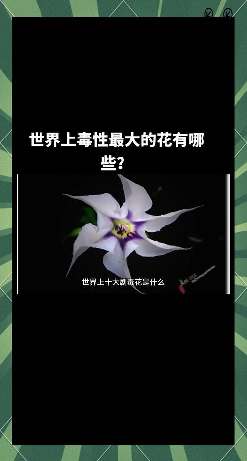 世界上最小的花图片？世界上最小的花图片大全？  第2张
