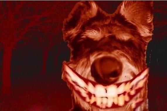 微笑狗世界都死了多少人，微笑狗世界是真的吗  第6张