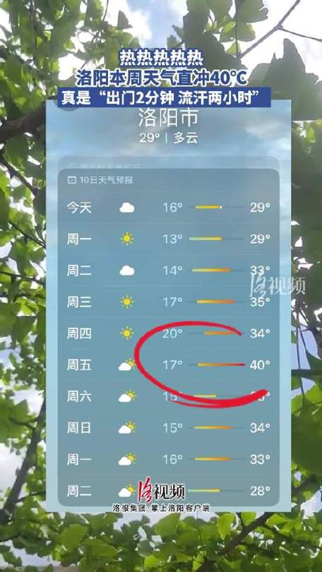 河南省洛阳今天天气，洛阳的今天气预报？  第2张