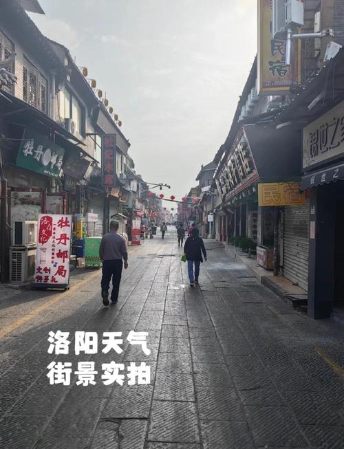 河南省洛阳今天天气，洛阳的今天气预报？  第6张