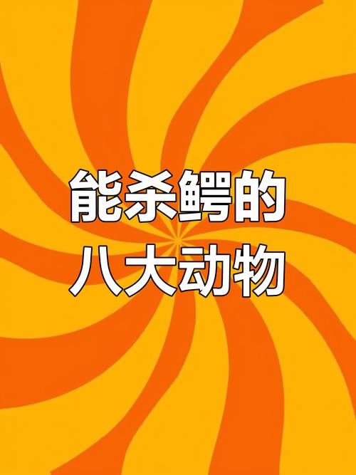 黑猩猩捕食猴子，黑猩猩捕食大猩猩？  第6张