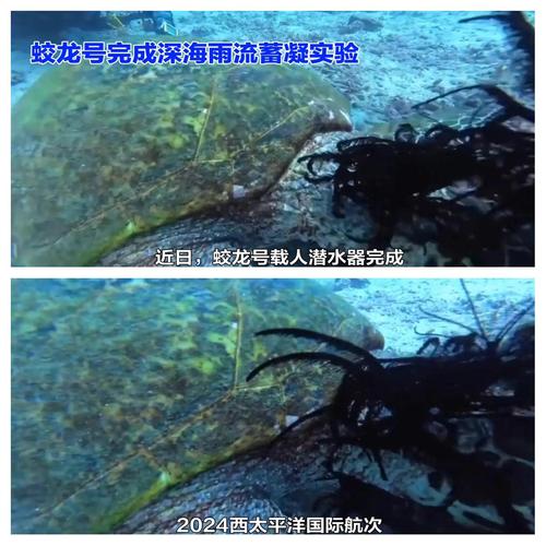 蛟龙号潜水员吓疯事件，蛟龙号潜水员吓疯了吗  第3张