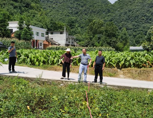 平塘近几天天气情况，平塘天气预报15天查询结果  第1张