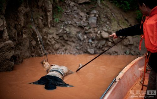 为什么捞尸人不敢捞女尸？捞尸人为什么不捞直尸？  第6张