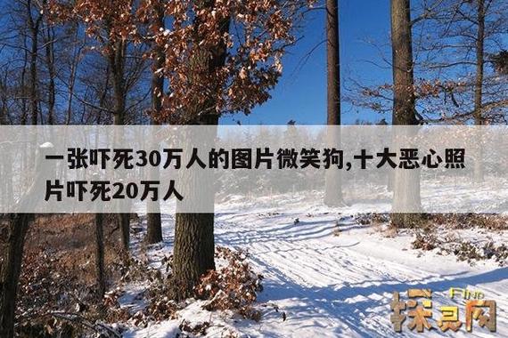 微笑狗恐怖事件图片？微笑狗恐怖版图片？  第1张