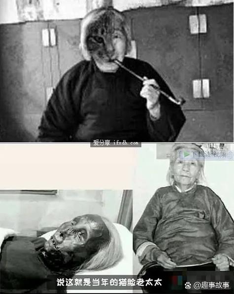 猫脸老太太电影剧情？猫脸老太太电影结局什么意思？  第1张