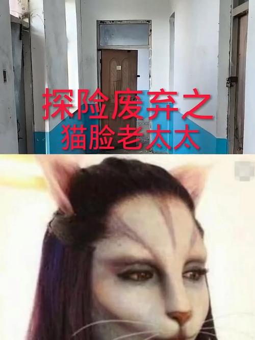 猫脸老太太电影剧情？猫脸老太太电影结局什么意思？  第6张