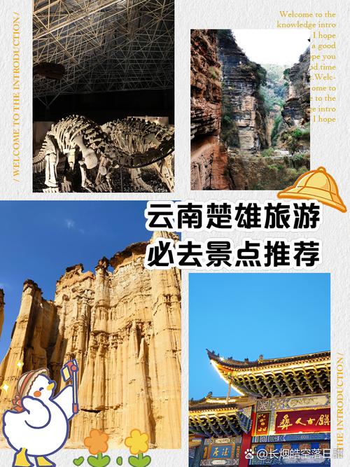 楚雄天气武定狮子山，云南武定狮子山天气预报？  第2张