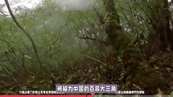 全球五大恐怖禁地，全球最恐怖的七大禁地？  第4张