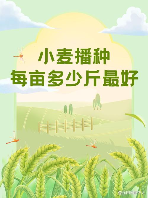 潍坊天气未来45天，潍坊未来几天天气  第1张
