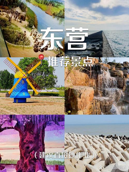 明天东营的天气温度，明天东营地区天气预报  第5张