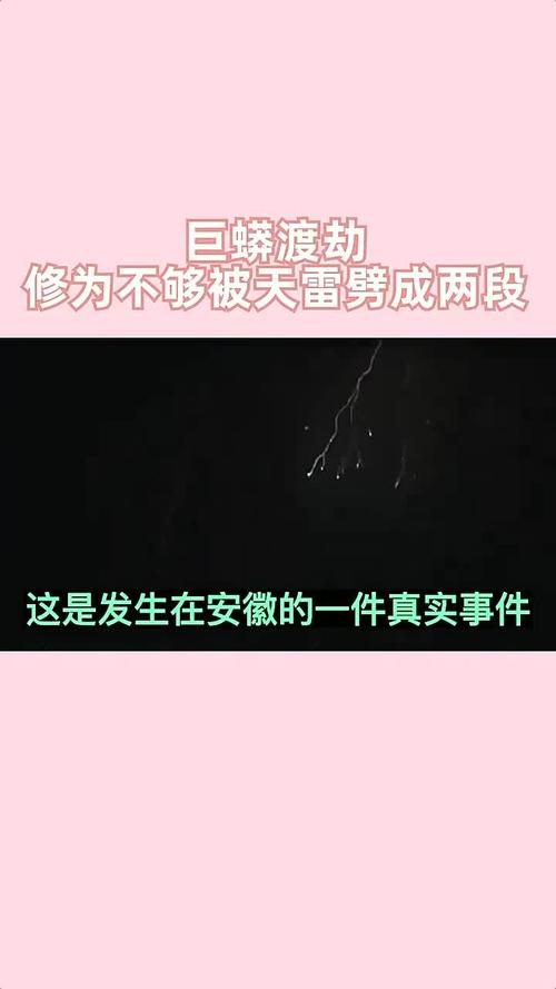 安徽巨蟒渡劫事件，安徽巨蟒渡劫事件真实情况  第2张