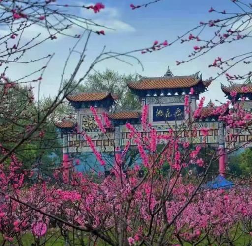 津市一个月天气预报，津市一个月天气预报30天  第2张