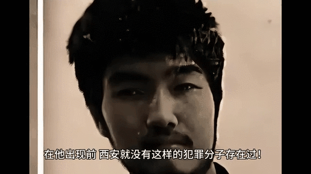中国前十悍匪全部，中国前十悍匪全部演员表？  第6张