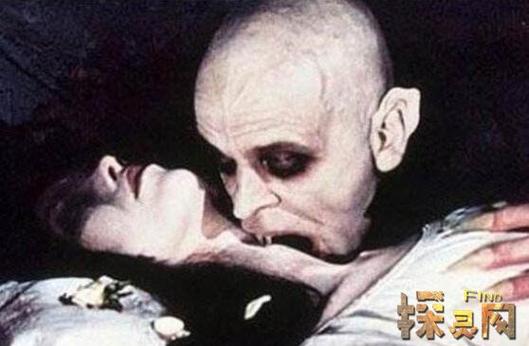 包含上海浦东吸血鬼真实事件的词条  第1张