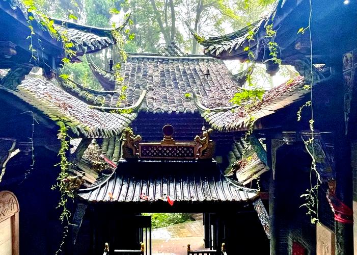 95成都僵尸真实图片，成都1995僵尸事件图片？  第2张