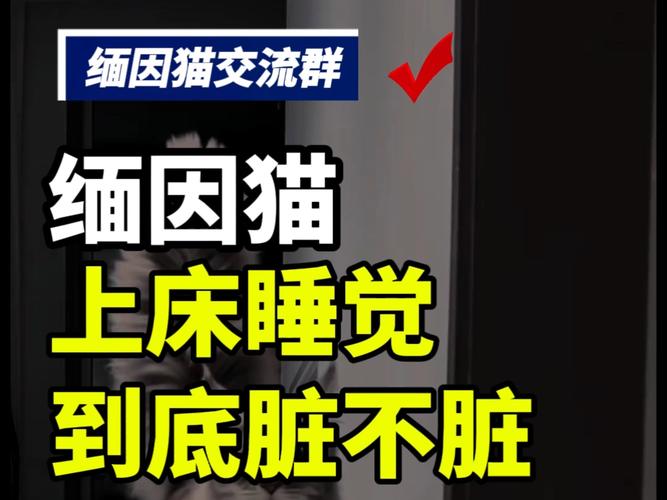 封门村1963年发生了什么，1963年的封门村？  第4张