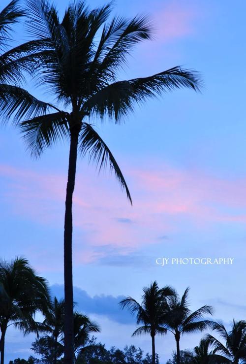 世界天气预报30天？今天世界天气预报？  第1张