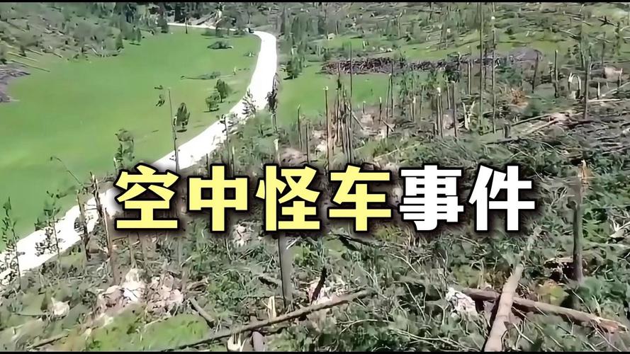 中国ufo三大悬案之一都溪林场？都溪毁林？  第1张