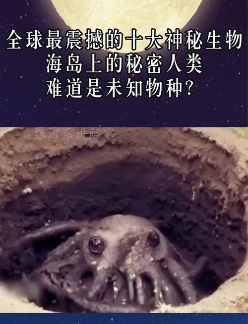 多佛恶魔长什么样，多佛恶魔通用重机枪？  第3张