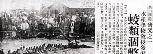 锁龙井真实事件揭秘，锁龙井真实事件揭秘图片？  第3张